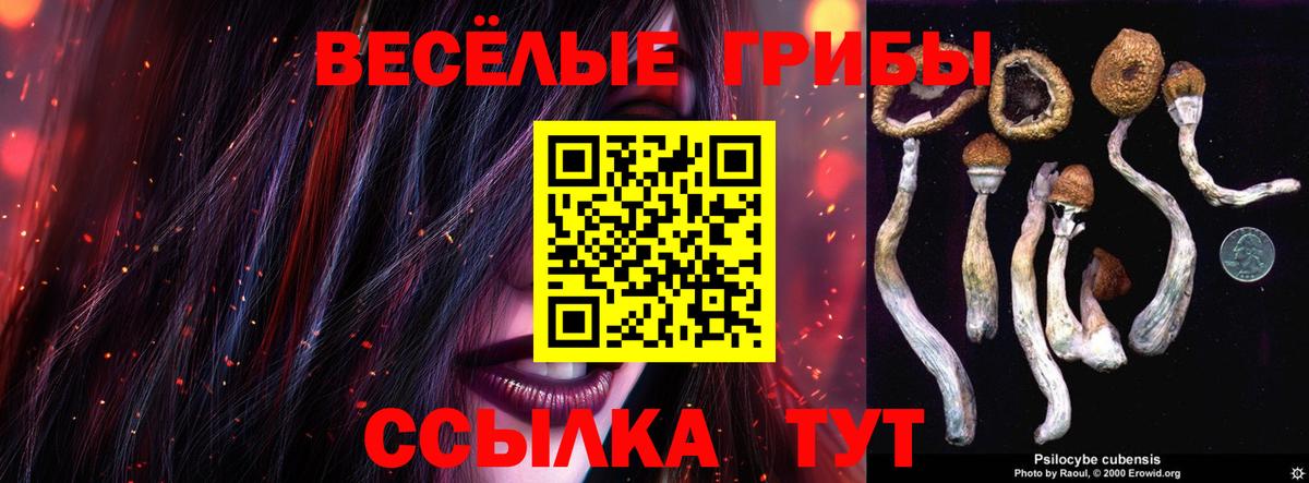 Галлюциногенные грибы прущие грибы  Вход с VPN  Асино 